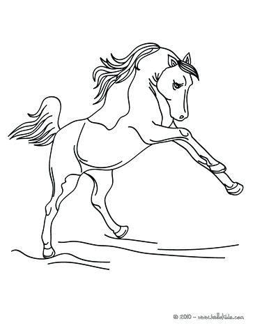 363x470 Horse Pictures To Color As Well As Coloring Horse Pages Large Size