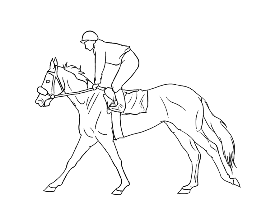 900x675 Horseland