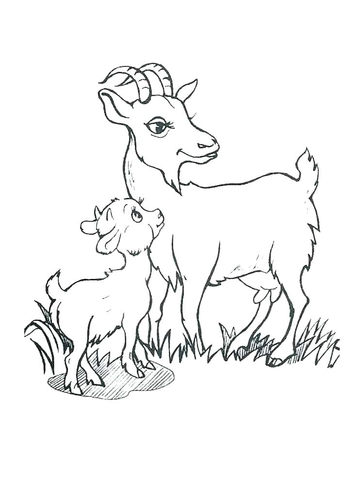 750x1000 Goat Coloring Billy Goats Gruff Coloring Pages Mountain Goat