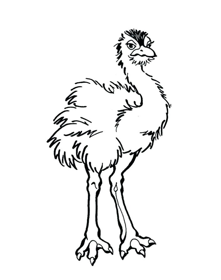 706x895 3 Billy Goats Gruff Coloring Pages Kids Coloring Emu Colouring