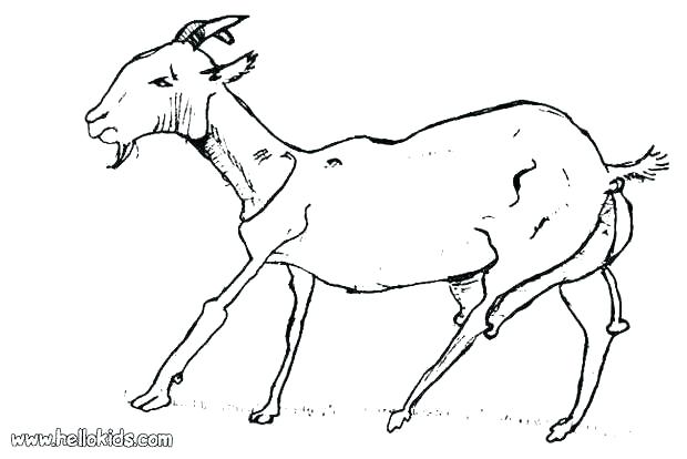 620x414 Three Billy Goats Gruff Coloring Pages Free Coloring Pages A Billy