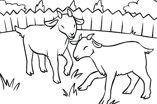 532x353 Three Billy Goats Gruff Coloring Pages Kids Coloring Page Goats