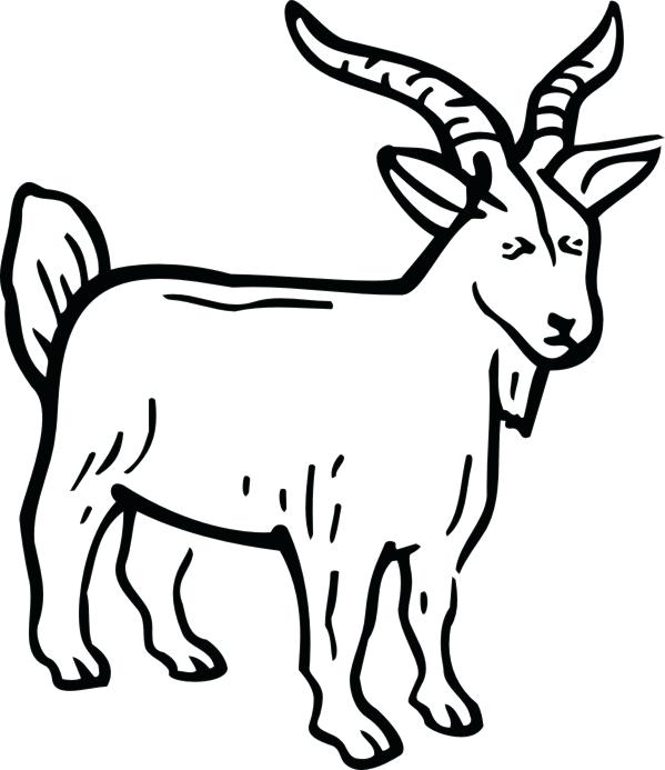 599x693 Three Billy Goats Gruff Preschool Printables Kids Coloring Billy