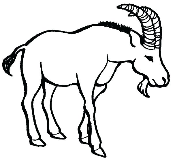 600x577 Billy Goats Gruff Coloring Sheets An Old Goat Pages Color