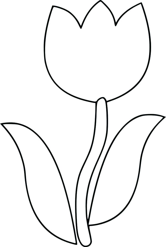 688x1024 Leaf Coloring Page Three Leaf Clover Coloring Page Printable Four