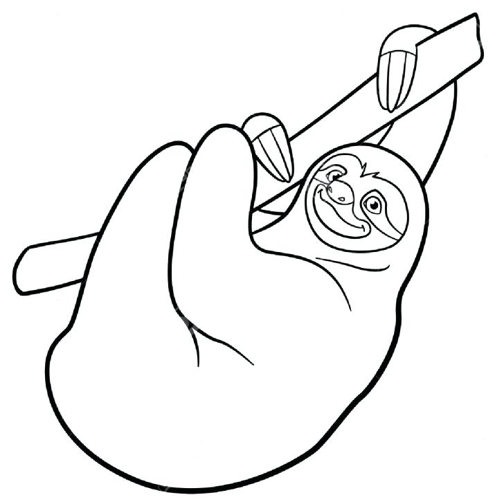 728x728 Sloth Coloring Page Medium Size Of Sloth Coloring Page
