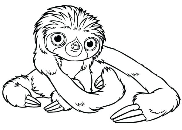 600x428 Sloth Coloring Pages Baby Sloth Coloring Page Sid The Sloth