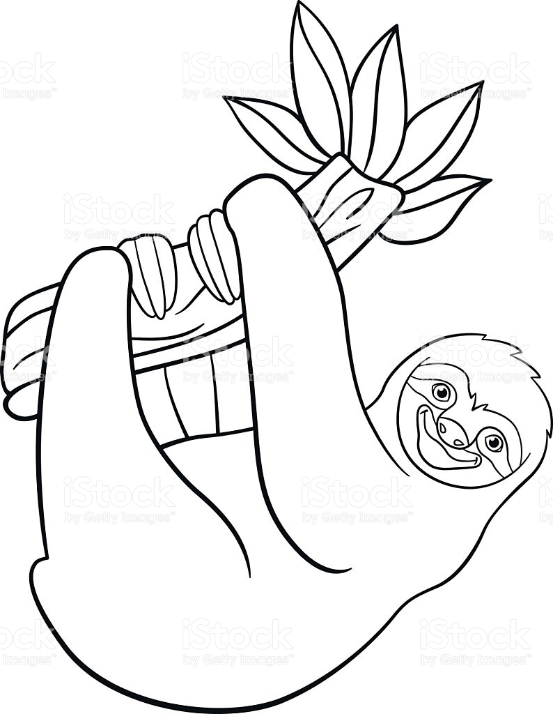 794x1024 Three Toed Sloth Coloring Page Free Printable Pages Within