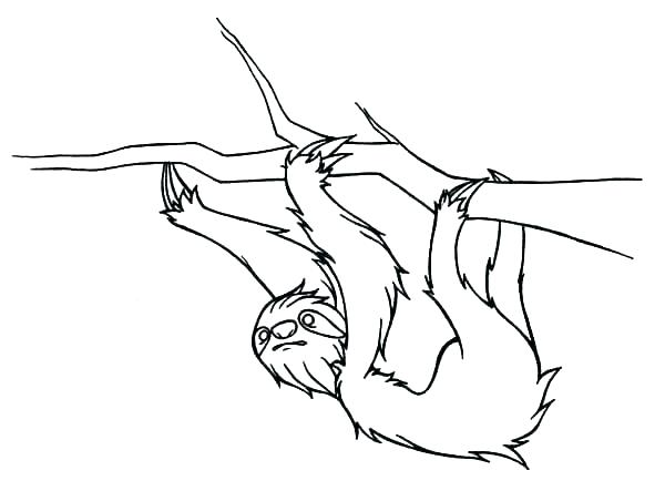 600x443 Sid The Sloth Coloring Pages Kids Coloring How To Draw Coloring