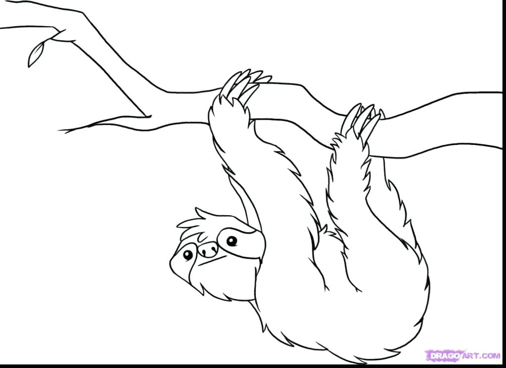 1024x744 Sloth Coloring Page Baby Sloth Coloring Page Pages Unique For Kids