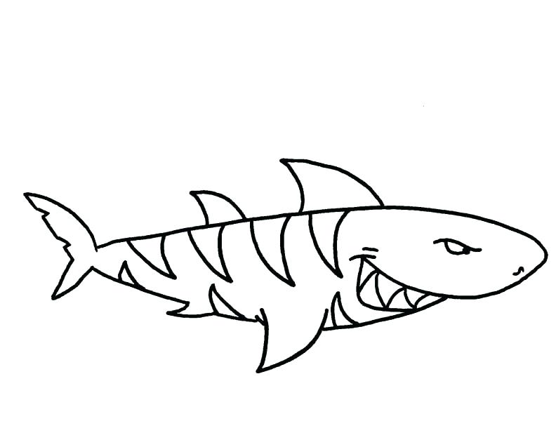 792x600 Shark Color Pages Thresher Shark 4 Realistic Great White Shark