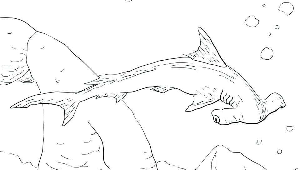 960x544 Shark Coloring Pages Hammerhead Printable Colouring Games Shark