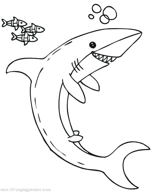 644x815 Megalodon Shark Coloring Pages