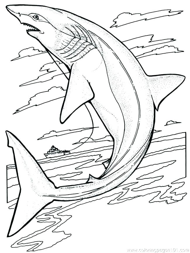 650x864 Shark Coloring