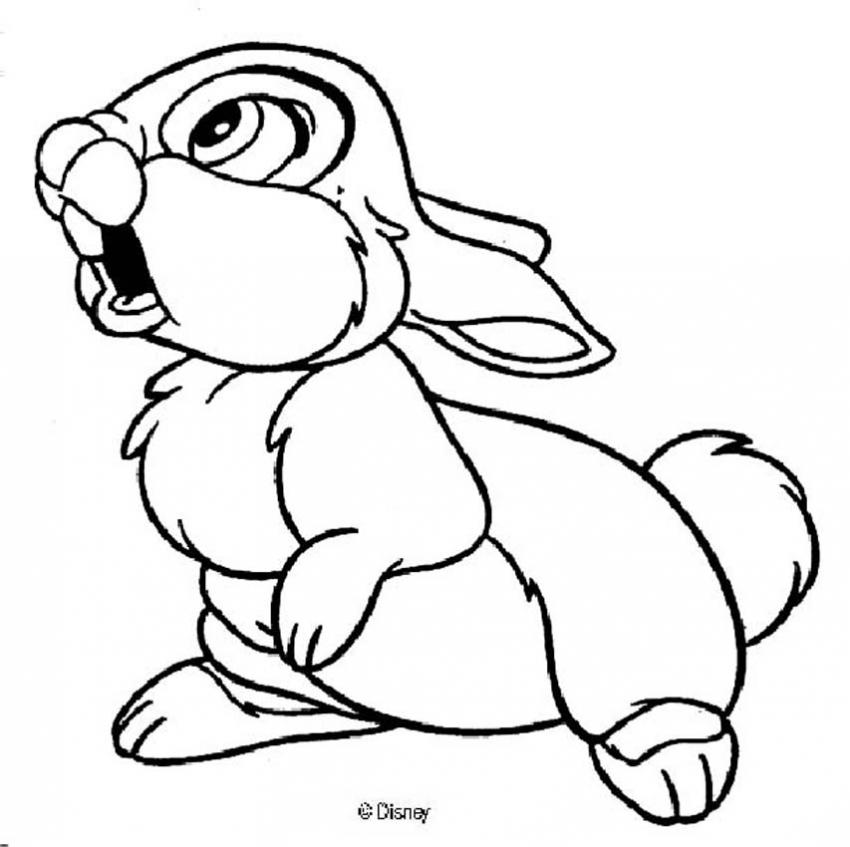 850x847 Thumper 3 Coloring Pages
