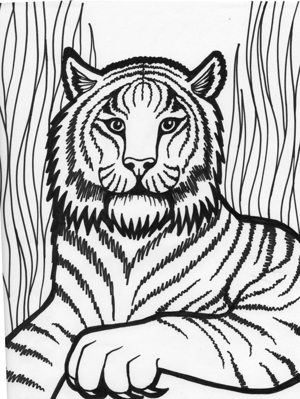 1000x1333 Free Printable Tiger Coloring Pages For Kids
