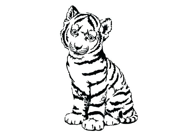 600x450 Tiger Color Pages Coloring Page Tiger Tiger Color Page Tiger