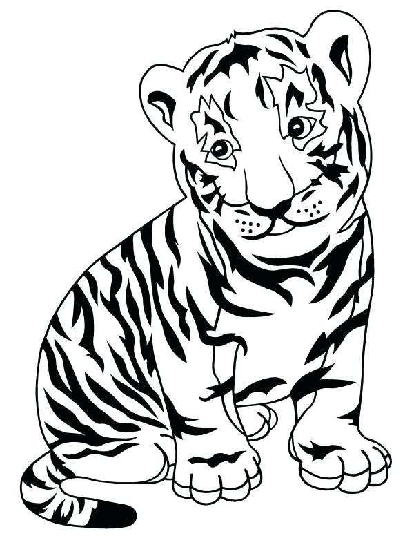 600x776 Tiger Cub Coloring Pages Tiger Coloring Pages Tigers Coloring