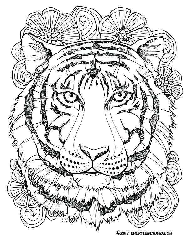 600x767 Tigers Coloring Pages Printable Tiger Coloring Page Baby Girl