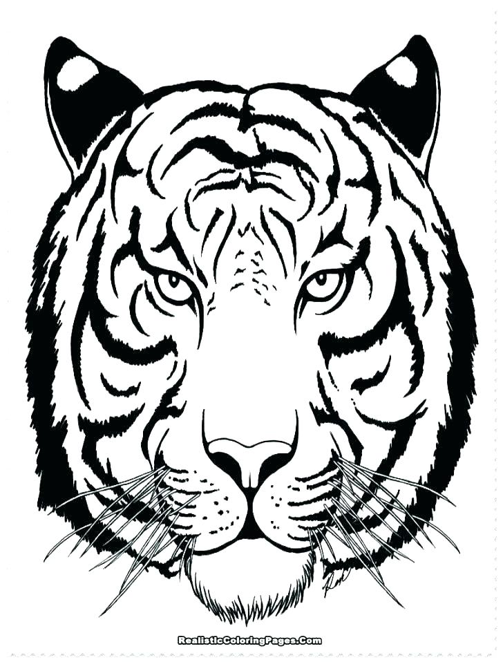 728x958 Coloring Pages Of Tigers Tiger Coloring Pages Free Tiger Coloring