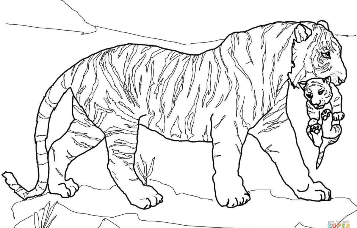 1200x768 Fancy Printable Tiger Coloring Pages Standing Bengal Page Free
