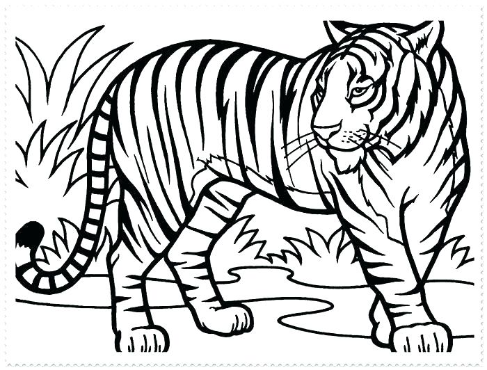 700x532 Tigers Coloring Pages Printable Tiger Coloring Pages Tiger Face