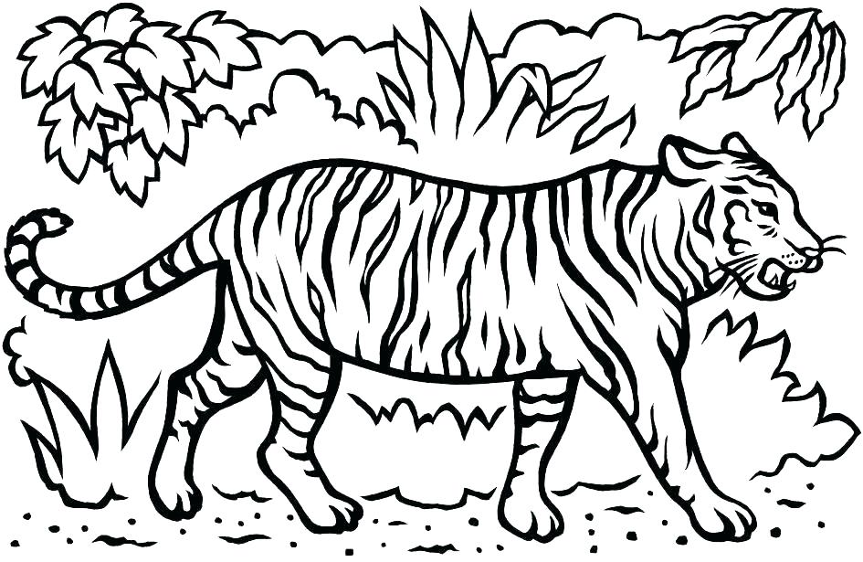 945x615 Baby Tiger Coloring Pages Preschool To Cure As Well As Baby Tiger