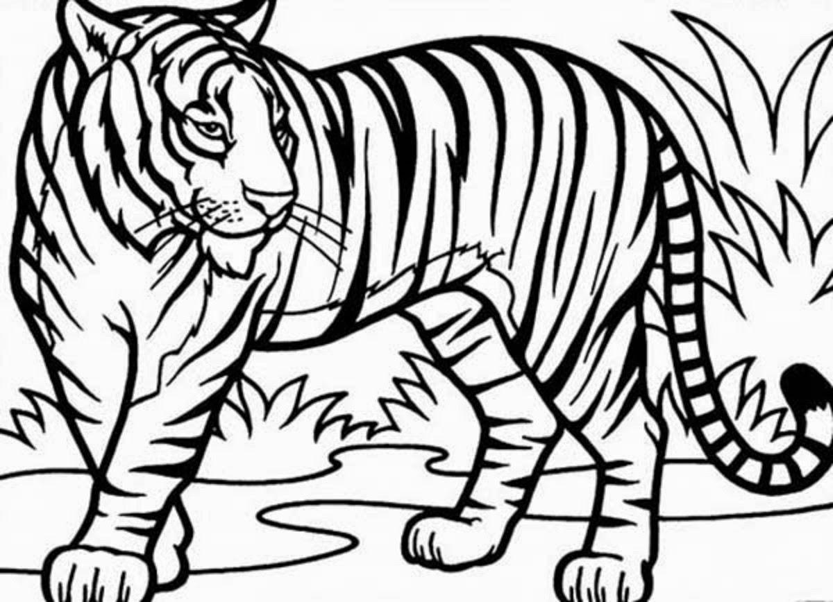1200x868 Captivating Tiger Coloring Pages 2 To Print Printable For Kids