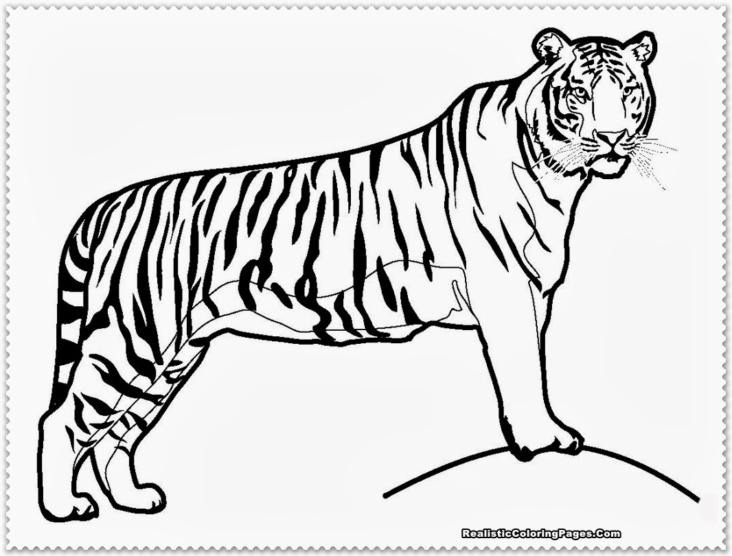 1066x810 Download Masha And The Bear Coloring Pages For Your Kids
