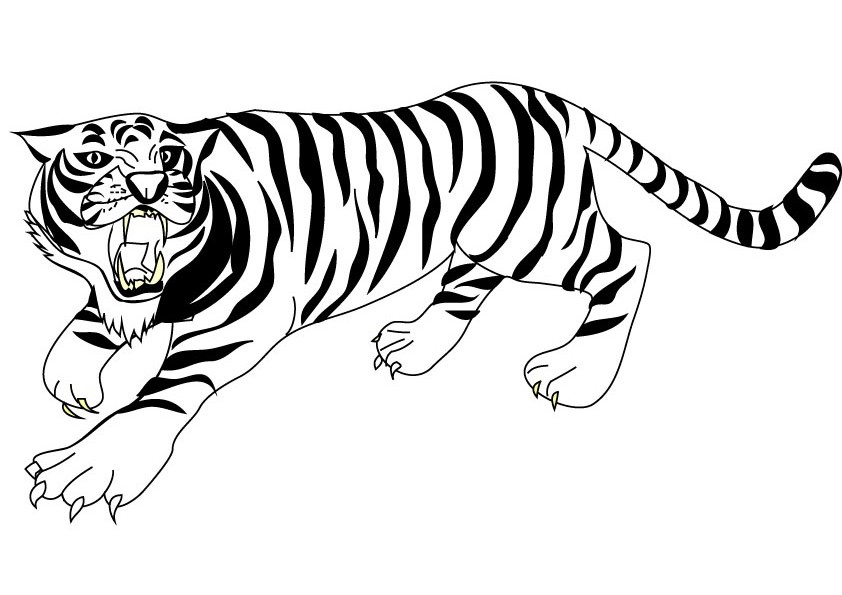 842x595 Tiger Coloring Pages 360coloringpages