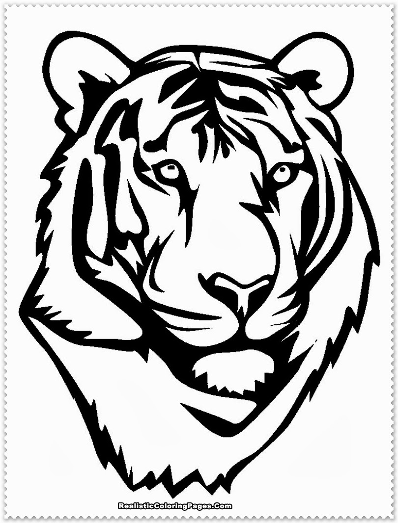 810x1066 Tiger Coloring Pages Awesome Printable Tiger Coloring Pages Logo