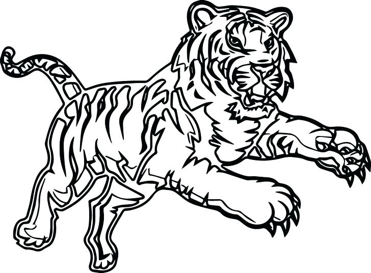 728x536 A Realistic Drawing Of Bengal Tiger Coloring Page