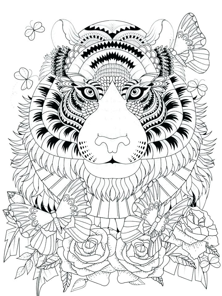 720x960 Free Tiger Coloring Pages