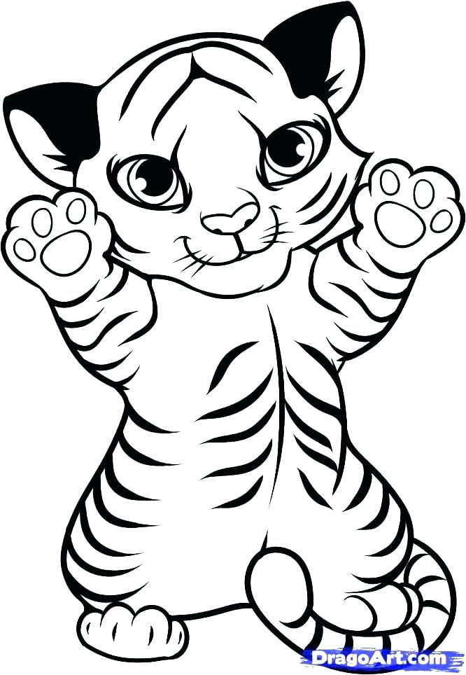 666x964 Coloring Pages Of Tigers Tiger Color Page Tiger Coloring Pages