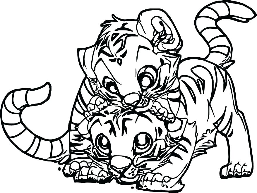 878x660 Tiger Cub Coloring Pages Free Tiger Coloring Pages Two Baby Page
