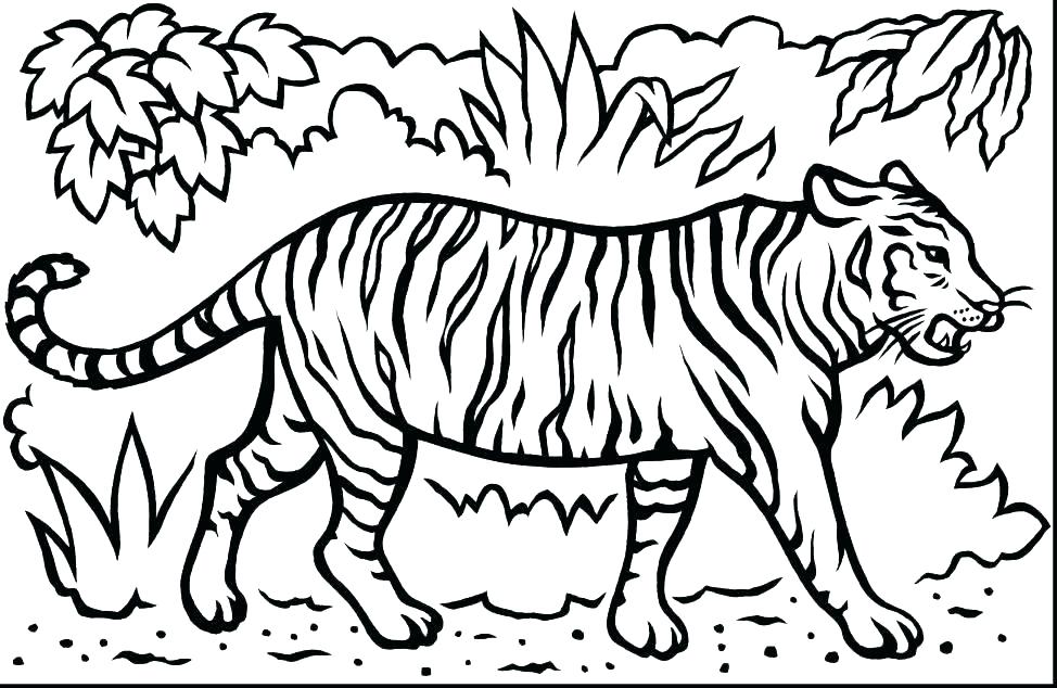 974x634 Printable Tiger Coloring Pages Tiger Face Coloring Page Tiger