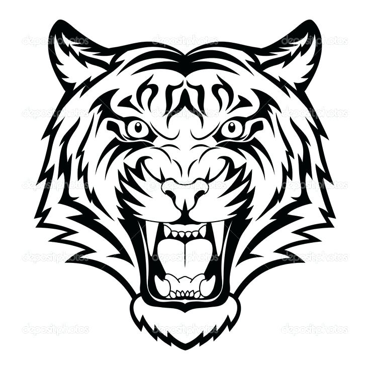 736x736 Tiger Face Coloring Page Tigers Coloring Pages Cure Tigers