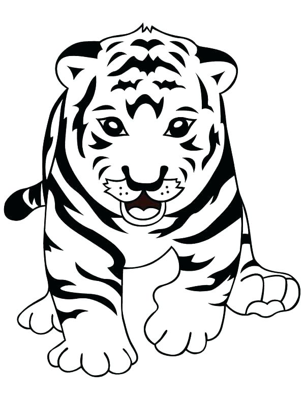 600x776 Cute Tiger Coloring Pages A Cute Tiger Cub In Front Of Camera