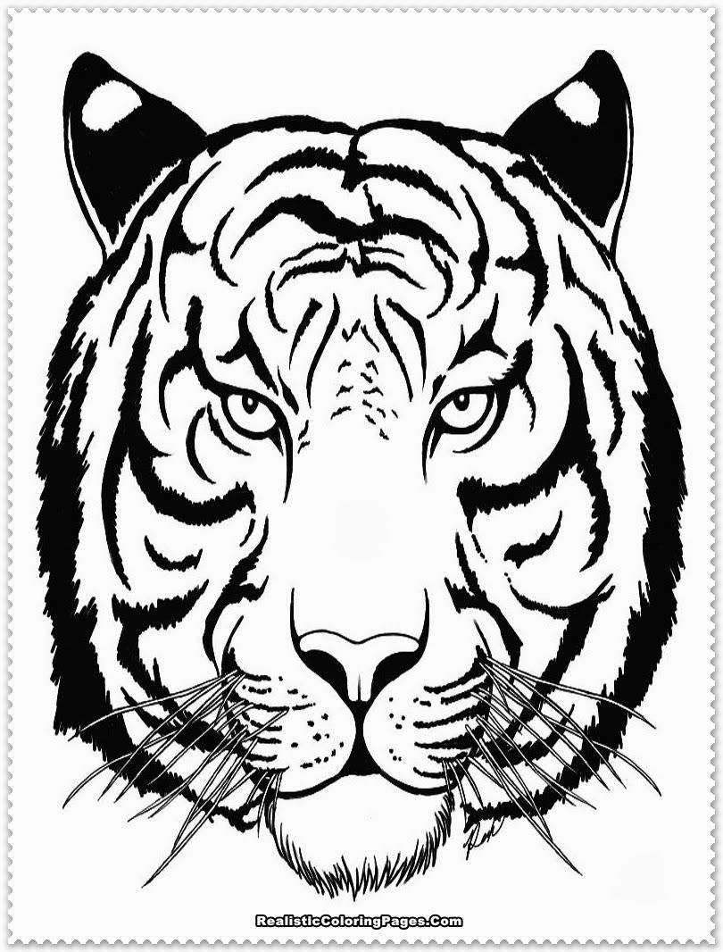 810x1066 The Best Tiger Head Coloring Page Adult Antistress For Ideas