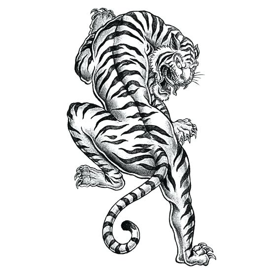 550x550 Tiger Coloring Pages Tiger Coloring Page Coloring Tiger Head