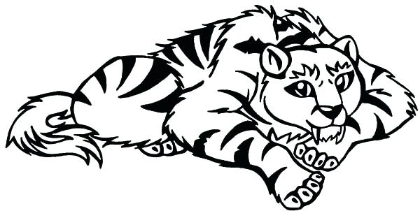 600x302 Coloring Tiger