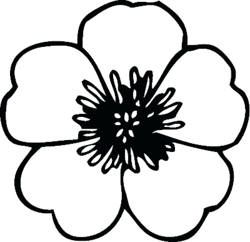 820x793 Lily Flower Coloring Pages Lily Pad Coloring Page Frog Coloring