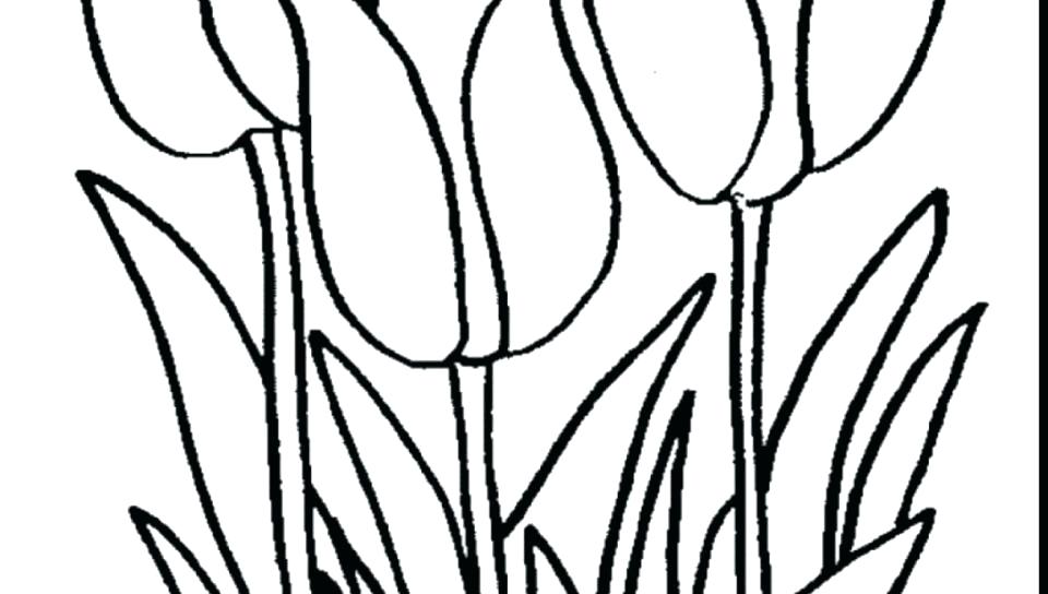 960x544 Lily Flower Coloring Pages Water Lily Pad Coloring Page Tiger Lily