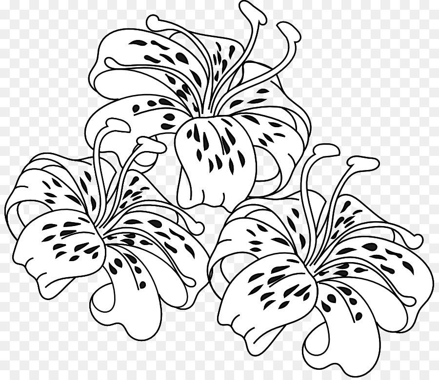900x780 Tiger Lily Easter Lily Coloring Book Flower