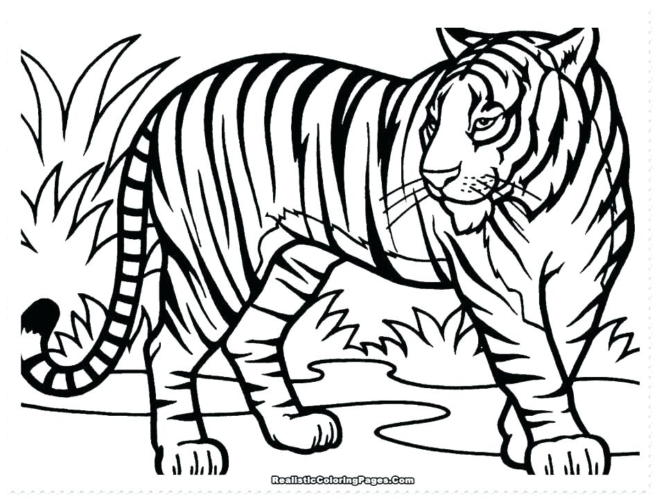 948x720 Coloring Pages Of Tigers Tiger Coloring Pages Best Adult Coloring