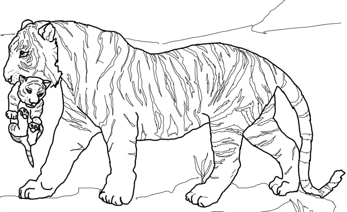 1177x719 Free Download Mandala Coloring Pages Tiger Cub For Your With Pdf