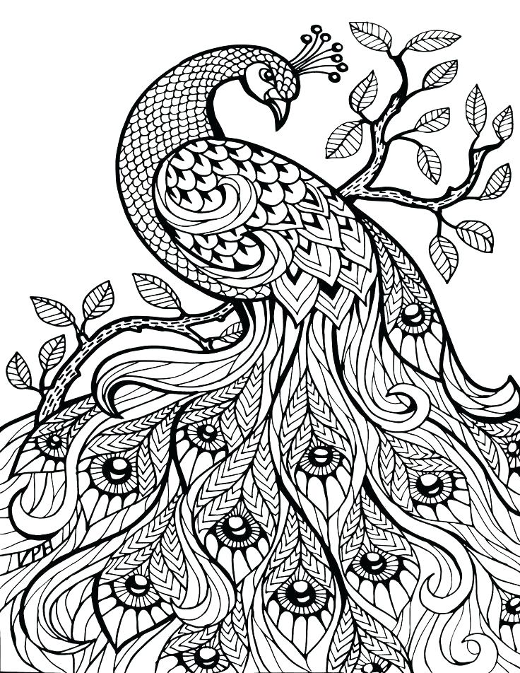 736x952 Glow Book Tiger Coloring Page Free Printable Frank Coloring Sheets