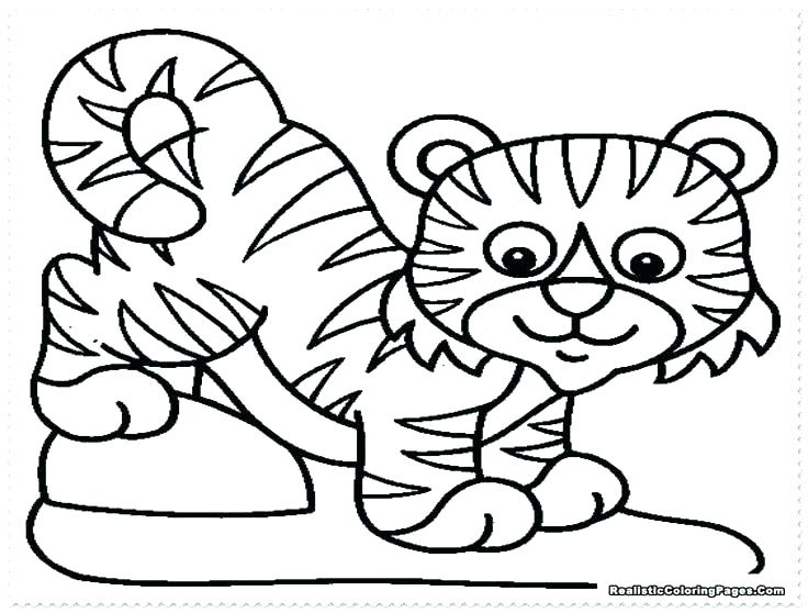 736x558 Coloring Pages Of Tigers Icontent