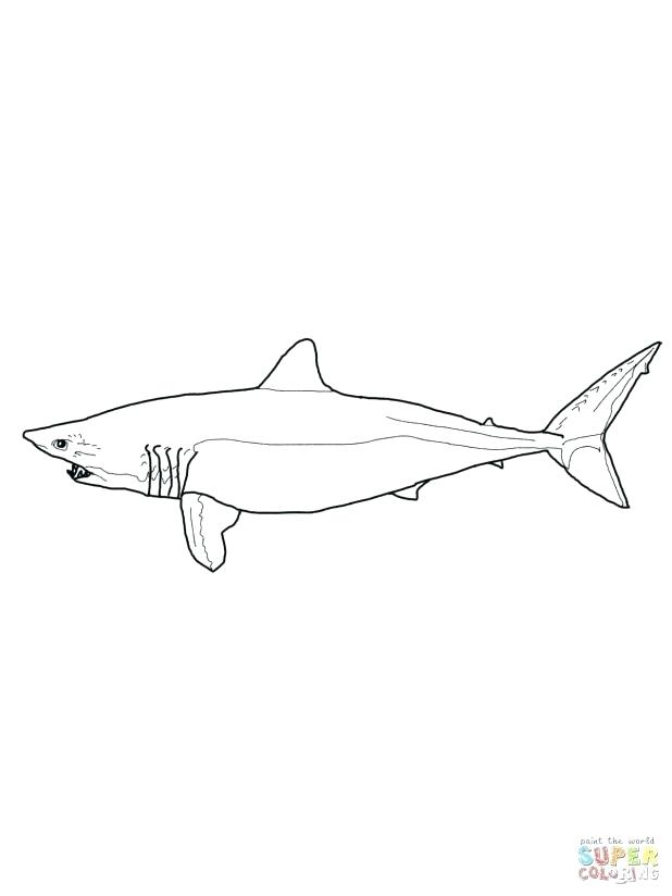 Tiger Shark Coloring Pages