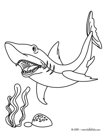364x470 Shark Coloring Pages, Drawing For Kids, Videos For Kids, Free